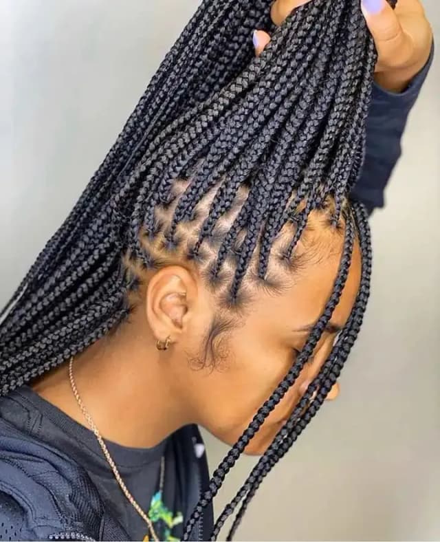 Braids - Exemple 4 coiffures africain à Edmundston